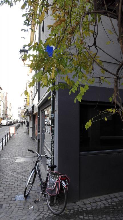 Chien Marin Brussel