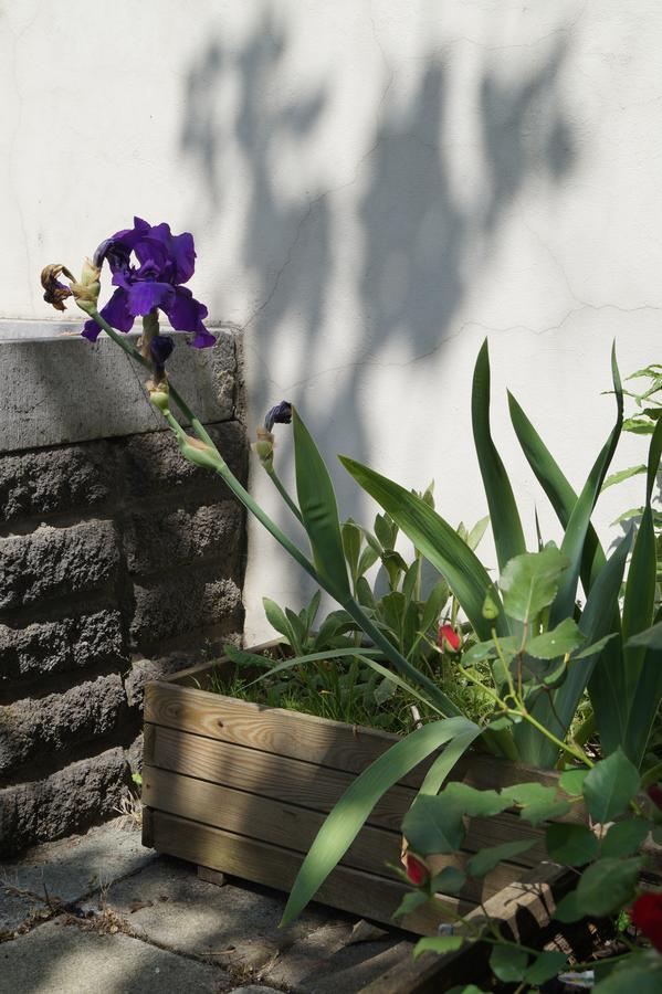 Bed & Breakfast Botanique Brussel