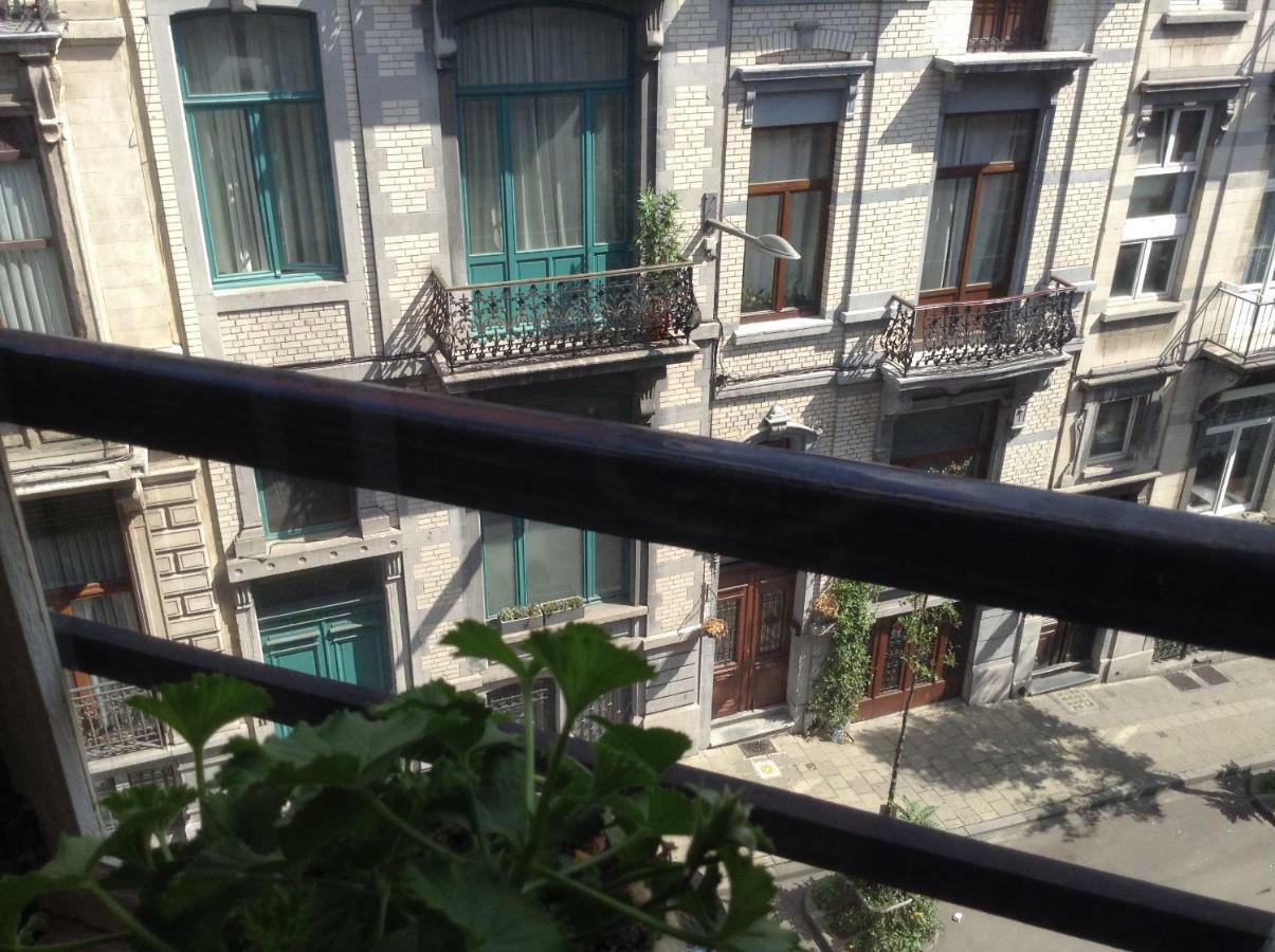 Art Nouveau Floral Brussels