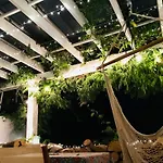 Calm, Green & Birdsong