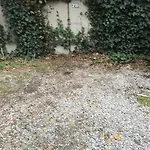 Cozy & Comfy House In Forest!