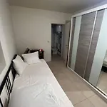 Kot Bruxelles