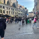 Charming Studio In Central Brussels - Walk Everywhere!