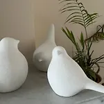 Appartement Voltaire