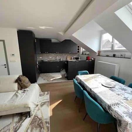 Duplex Avec Terrasse Quartier Europeen Brussels