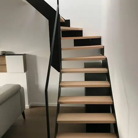 Duplex Avec Terrasse Quartier Europeen Apartment *