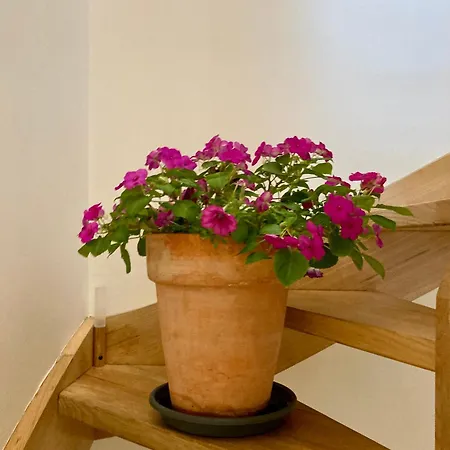 Apartment Mini Palace - Sweet St Catherine - Charming - Perfect For Families Or Business Trip Brussels