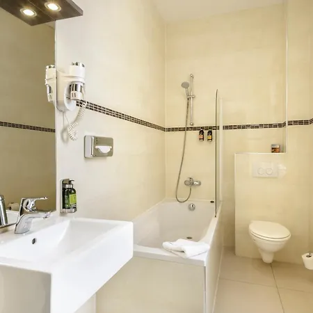 Hotel Dansaert 3*
