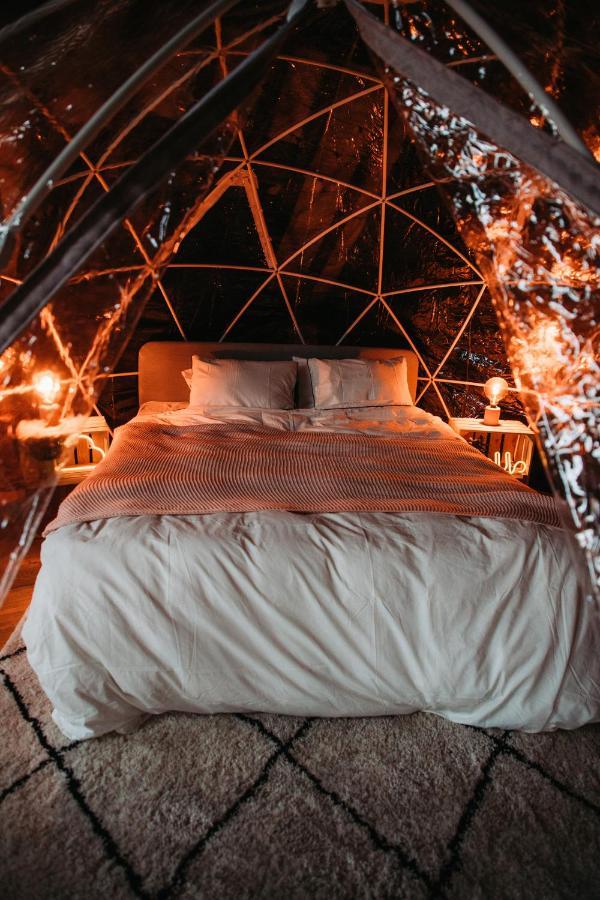 Căn hộ Cocoon Brussels