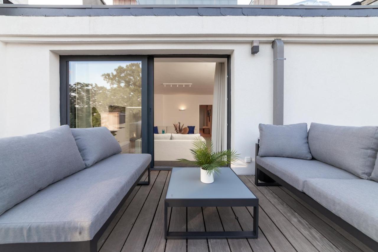 Sweett - Saint Bernard *