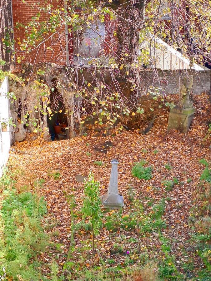 Maison Jamaer Bed & Breakfast Brussels