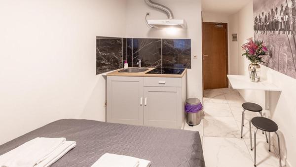 Apartment Palais Gare Du Nord *