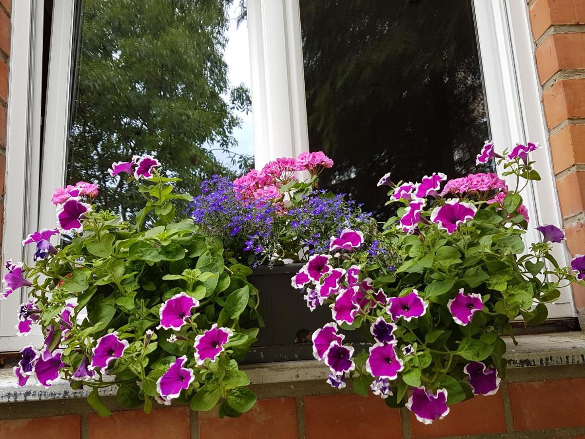 Apartment Modern Duplex With Garden *