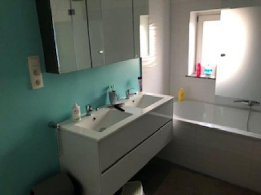 In Maison De Metre In Etterbeek Apartment Brussels