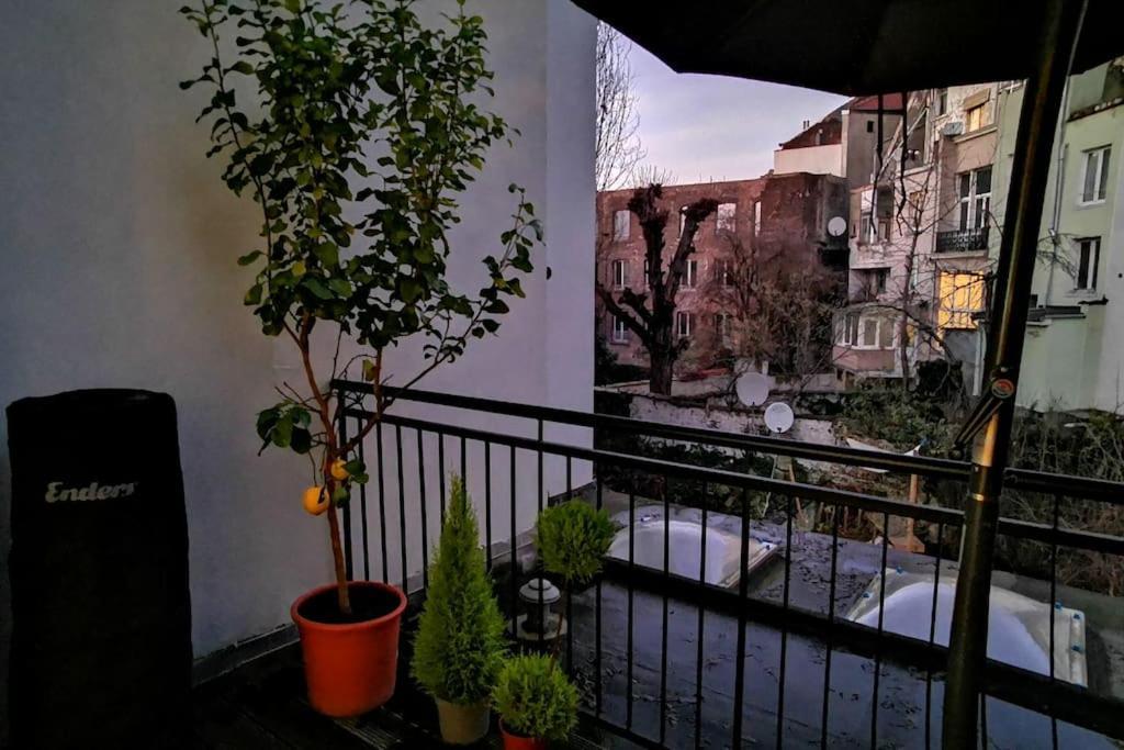 Studio Entier Renove+terrasse * Brussels