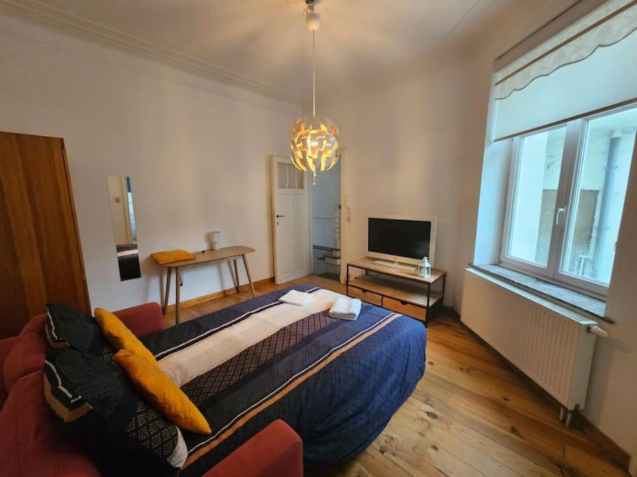 Apartment Espace Cosy Basilique