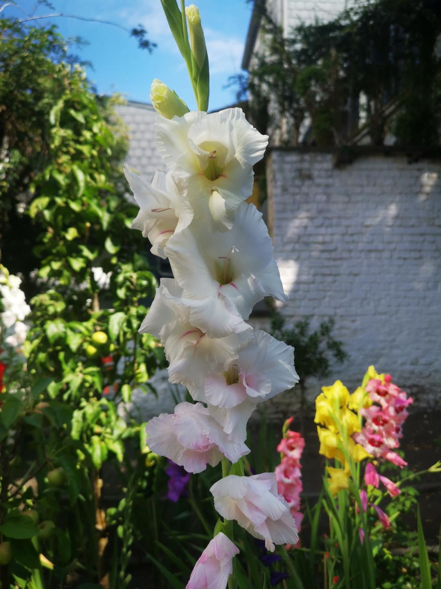 Bed & Breakfast Maison Jamaer Brussels