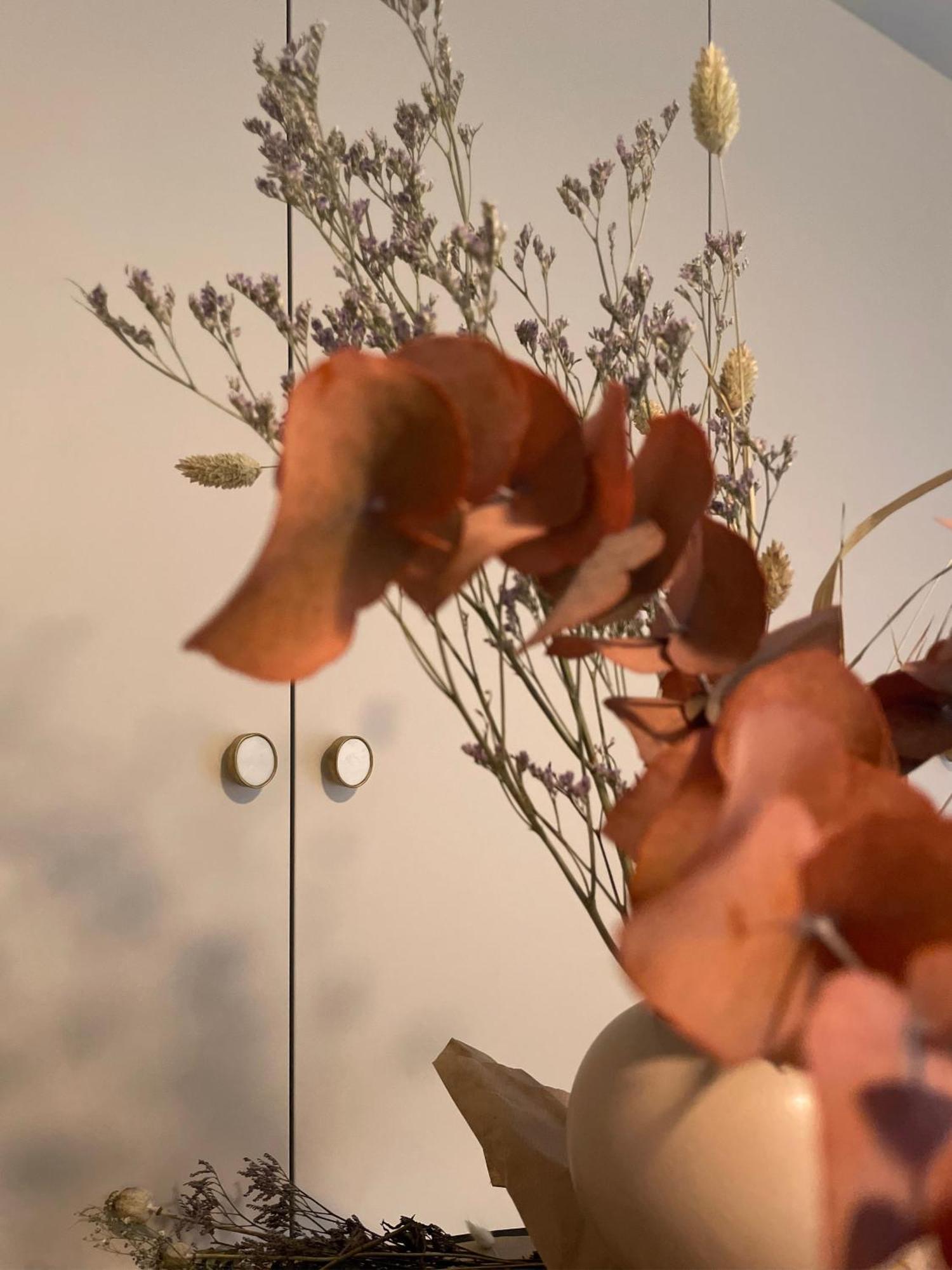 Apartment Maison Cokoon Ixelles Brussels