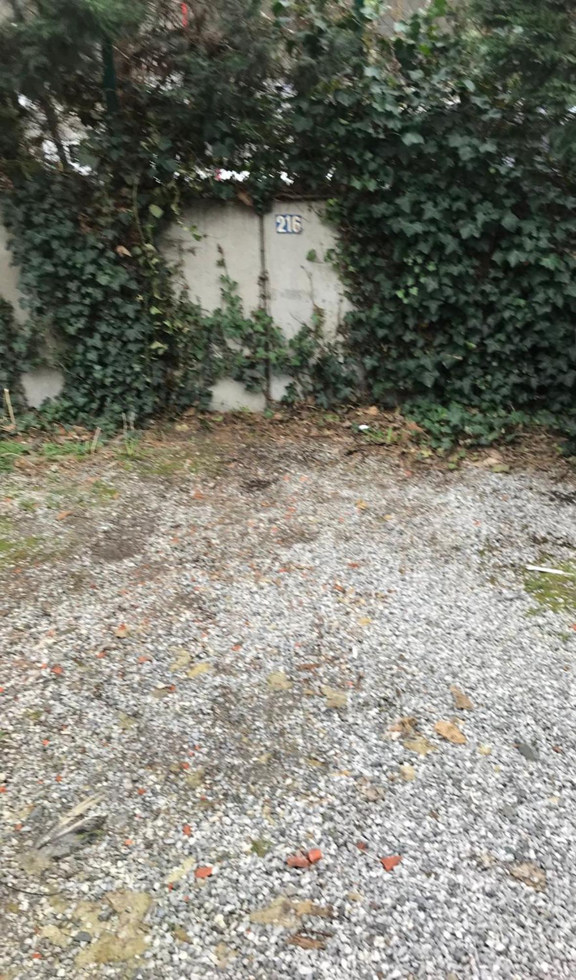 Cozy & Comfy House In Forest!