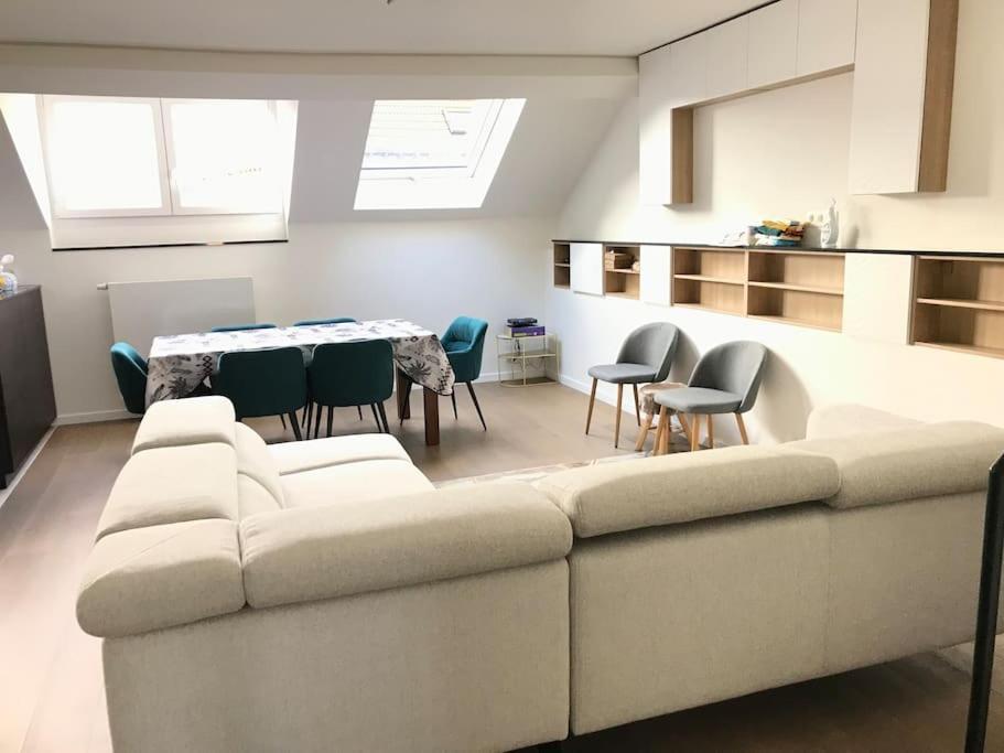 Duplex Avec Terrasse Quartier Europeen Appartement