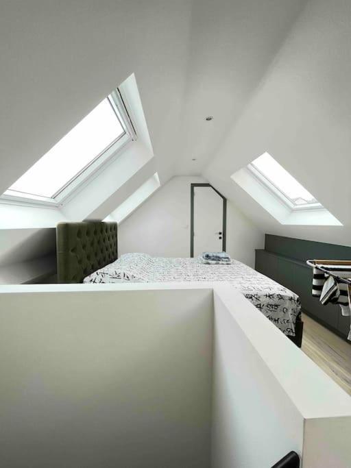 Duplex Avec Terrasse Quartier Europeen *