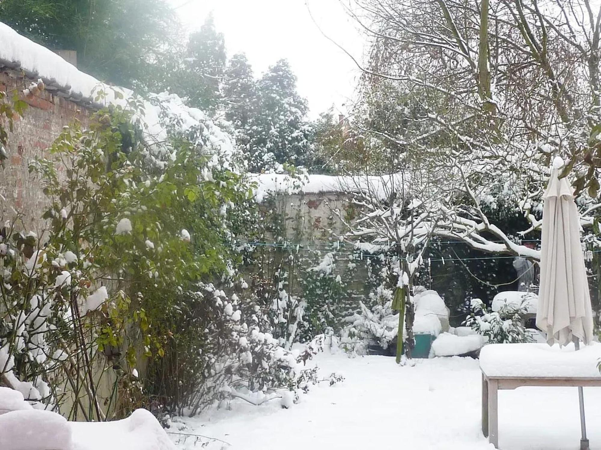 Spacious In Brussels, Large Private Garden Apartment *