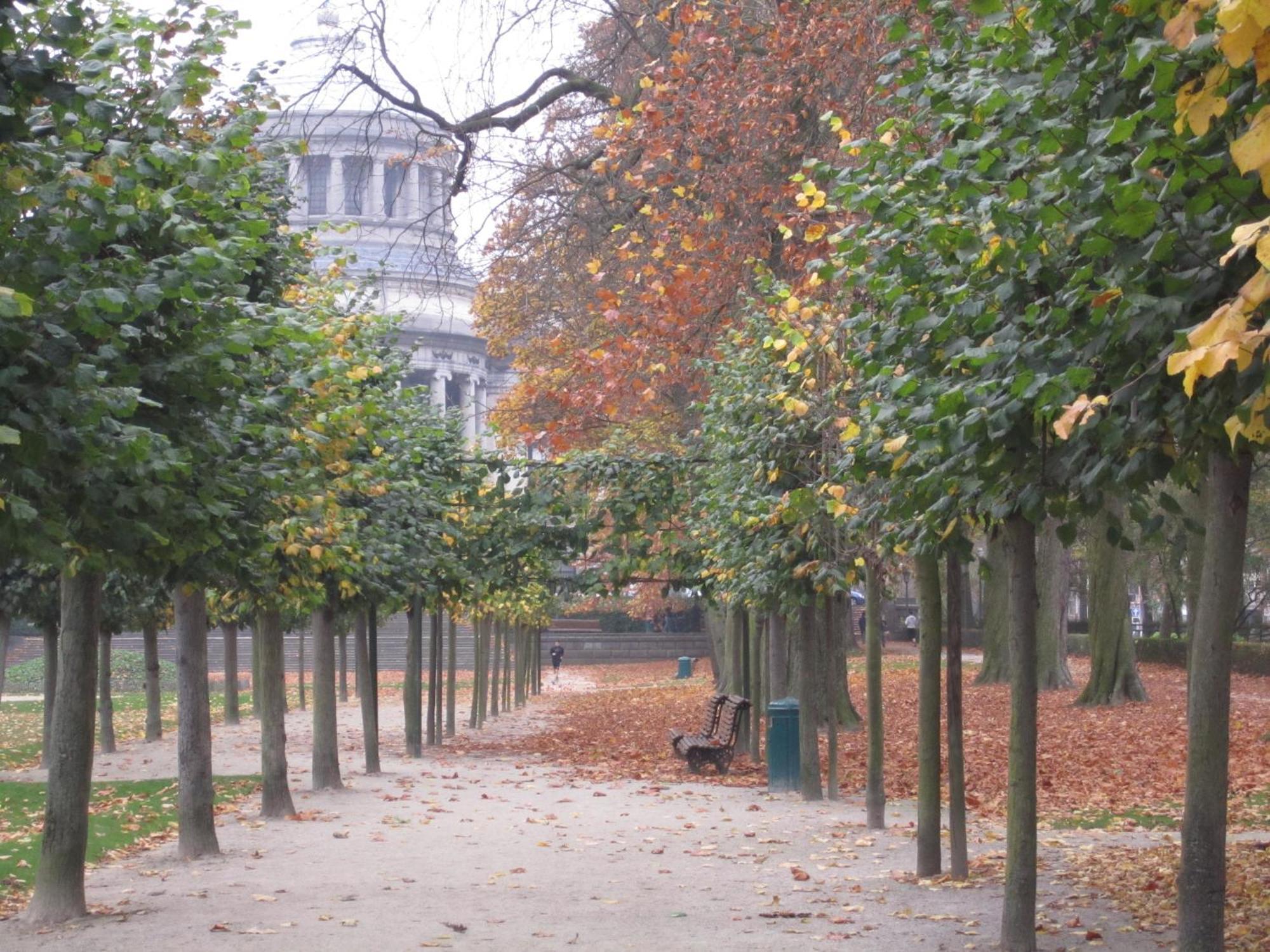 A Cote Du Cinquantenaire Brussels