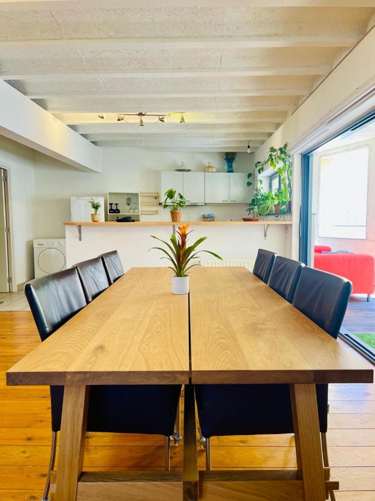 Oasis-spacious Loft In Excellent Location