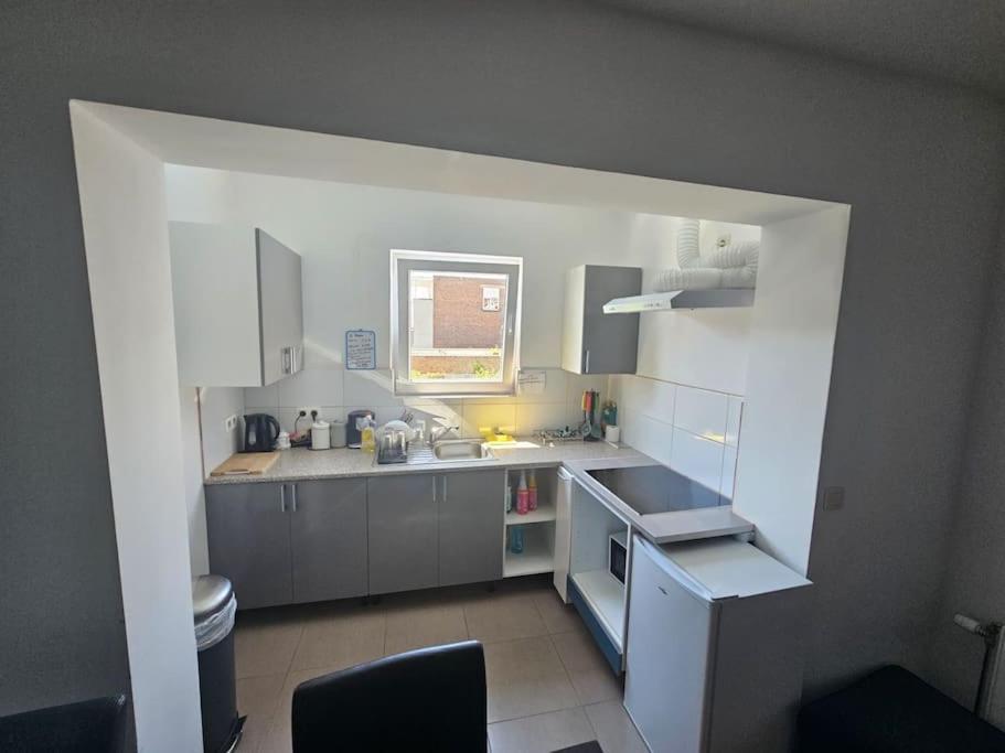 Spacieux 3 A Apartment Brussels