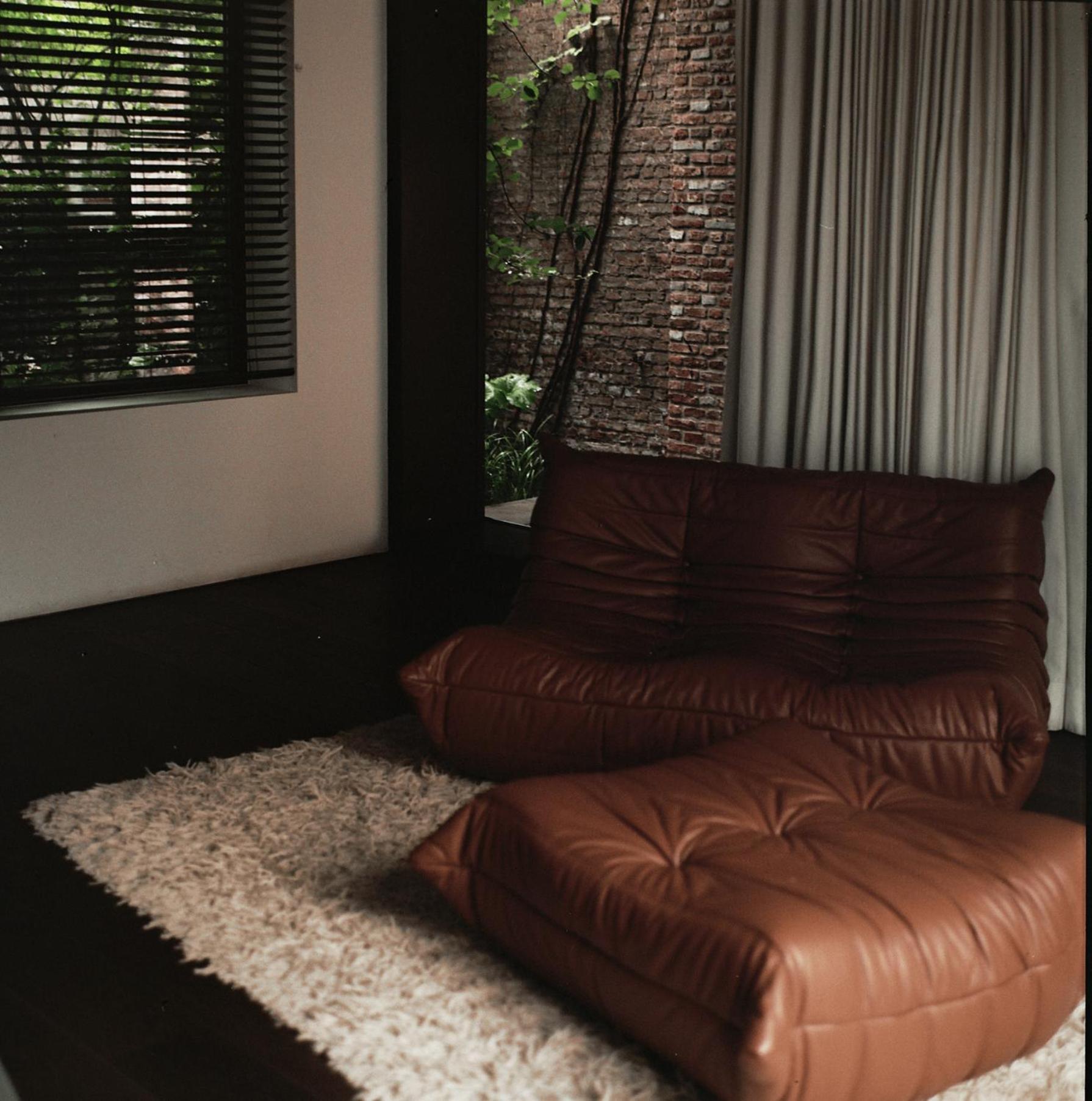 Teddy Picker Accommodatie bij particulieren Brussel