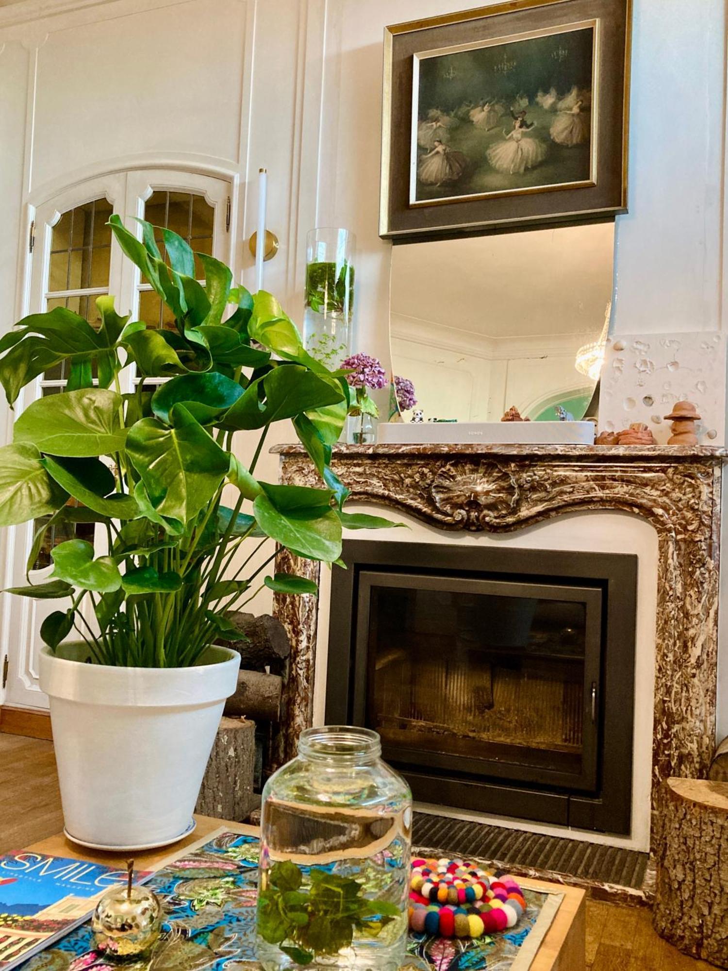 Homestay Calm, & Birdsong *