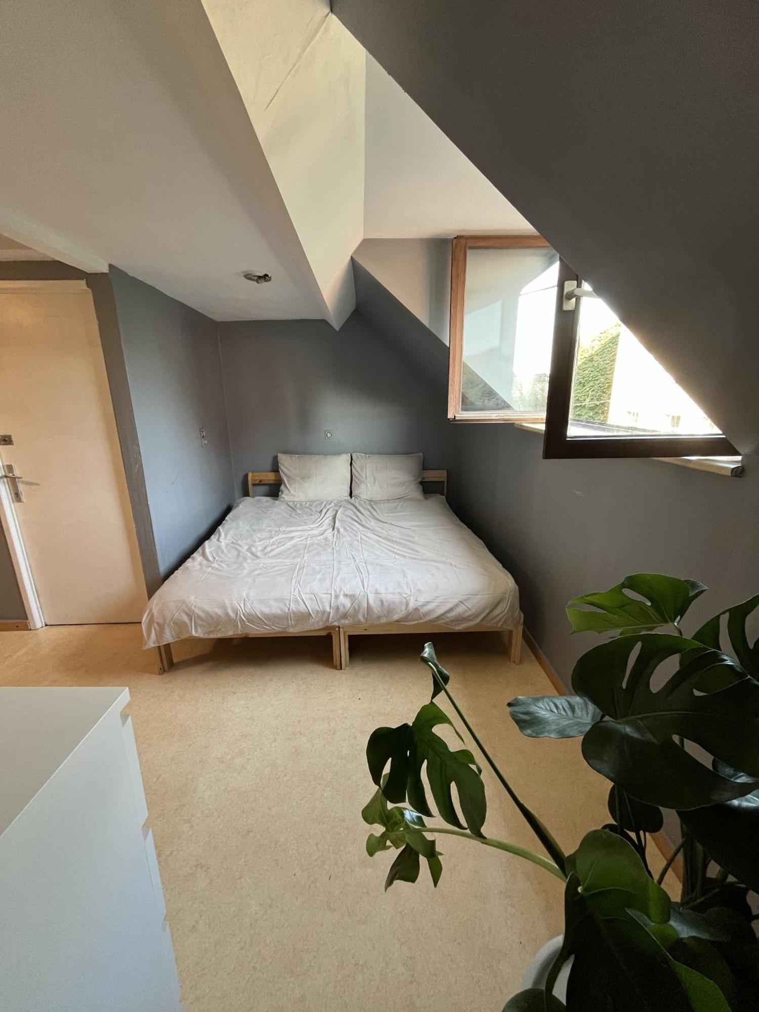 Apartment Near Center & Midi Station *