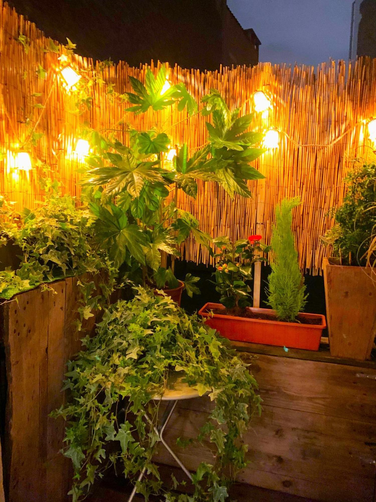 Apartment Madame Ii Brussels