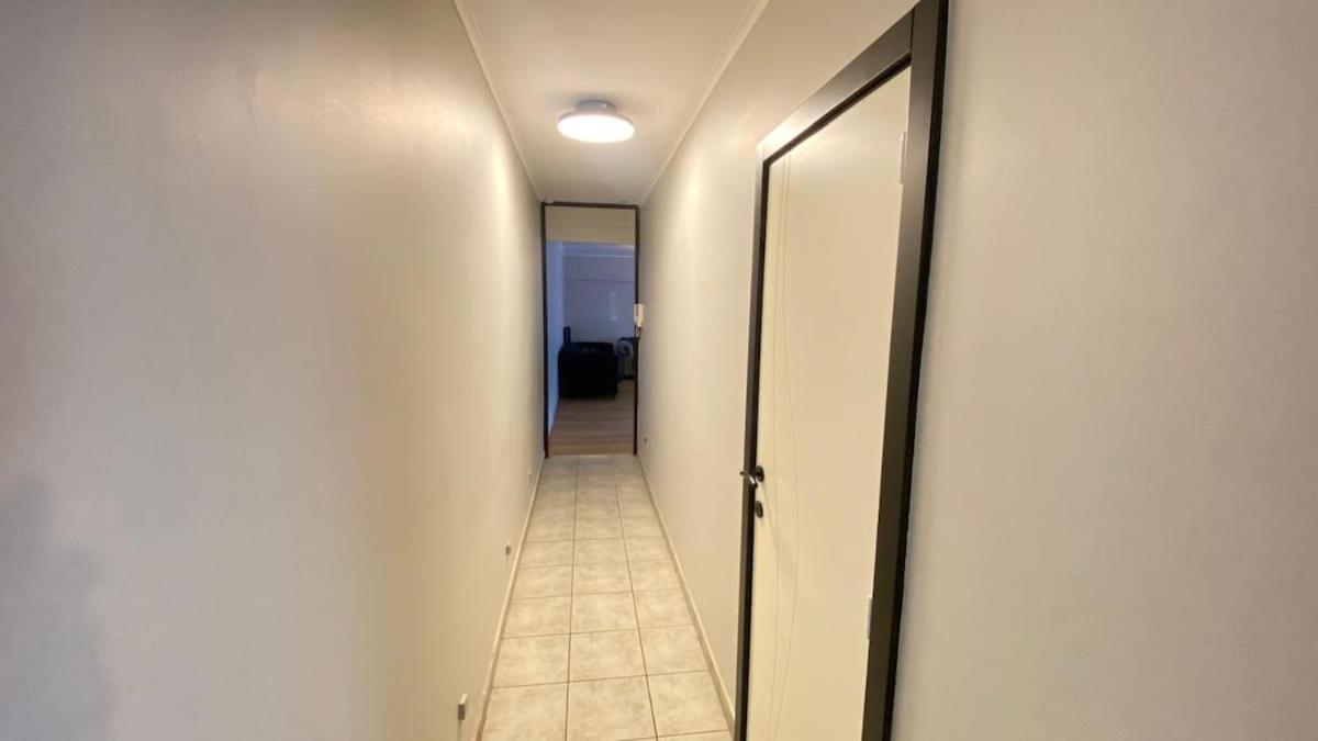 Strelitzyahouse Brussels