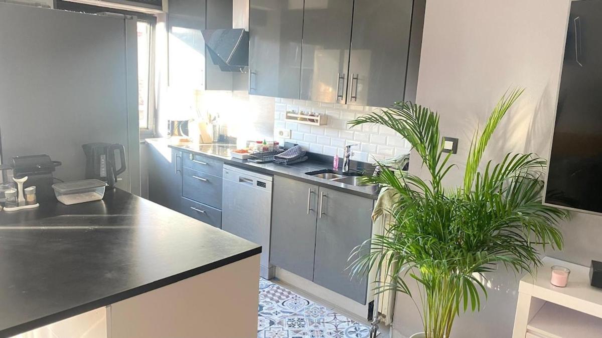 Strelitzyahouse Brussels