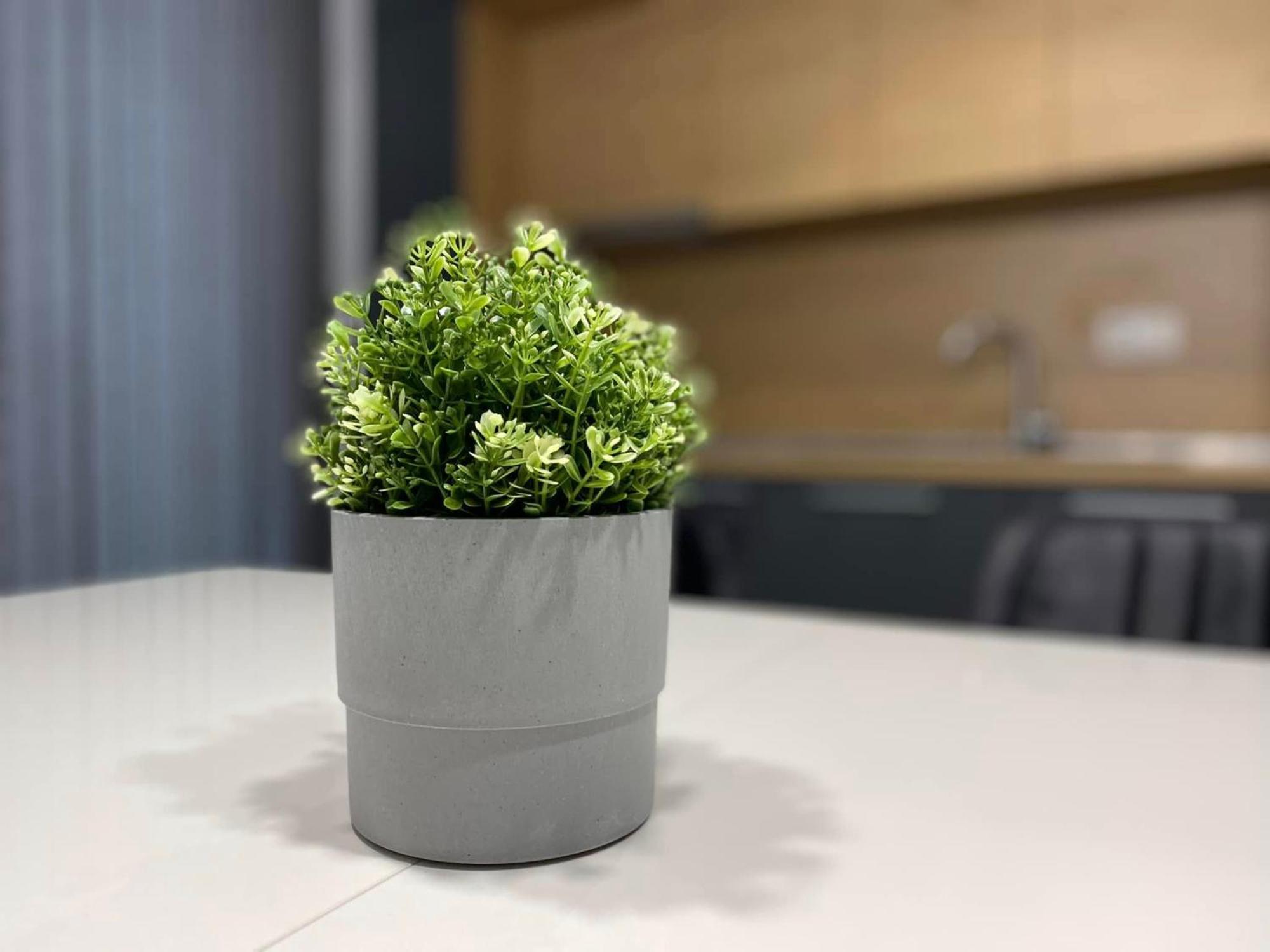 Apartment Merjay Garden