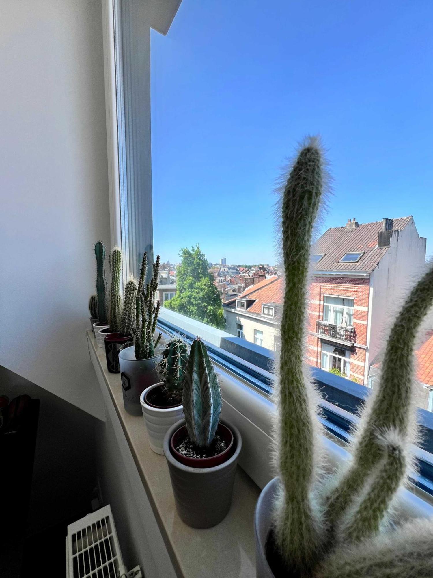 Modern Loft Near Eu Institutions Appartement