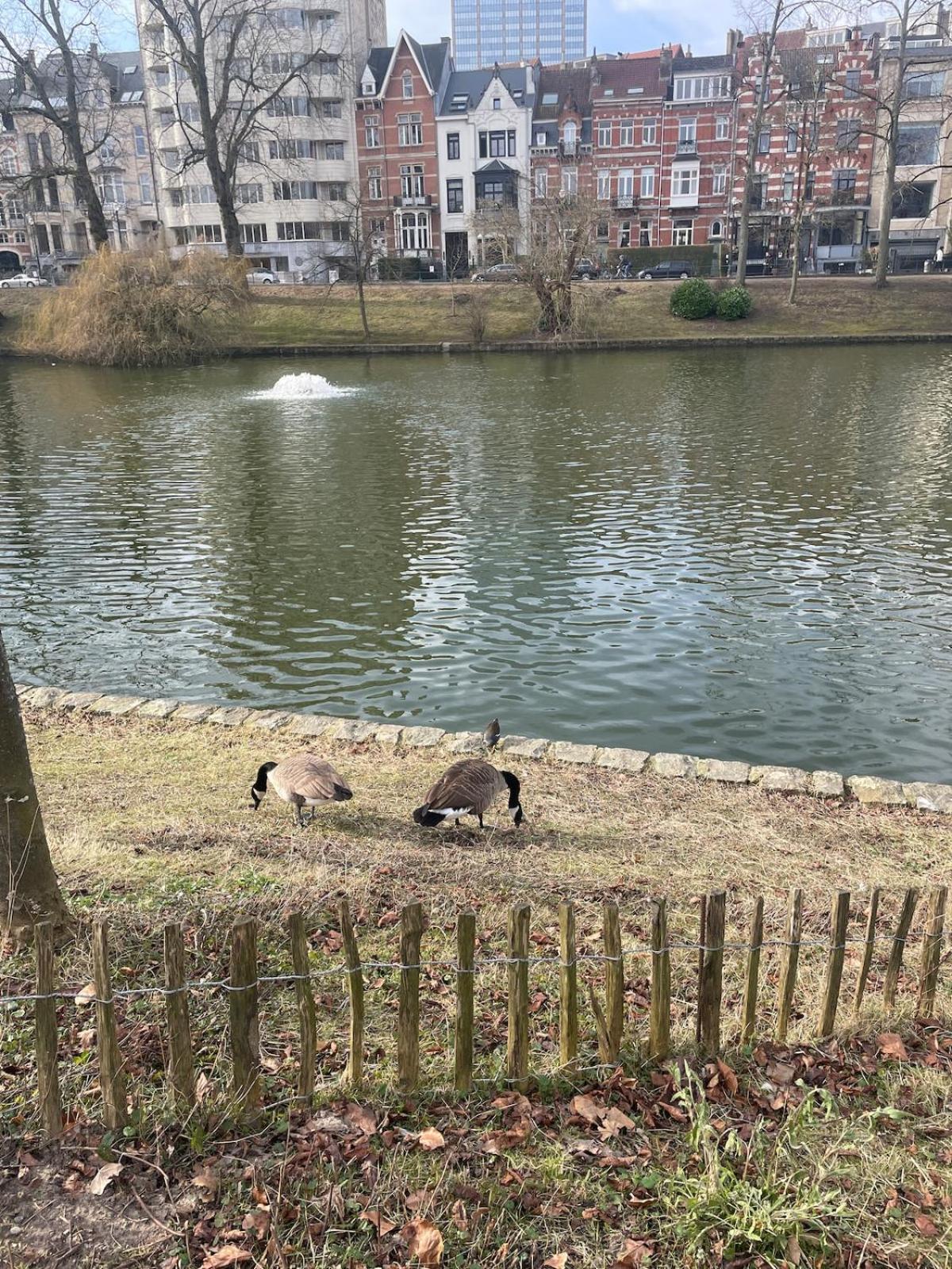 Apartment Le Flagey Place Brussels