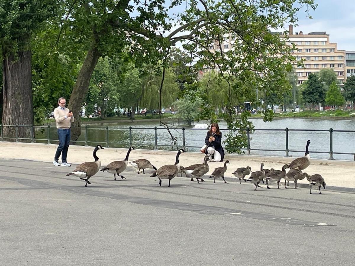 Le Flagey Place Apartment *