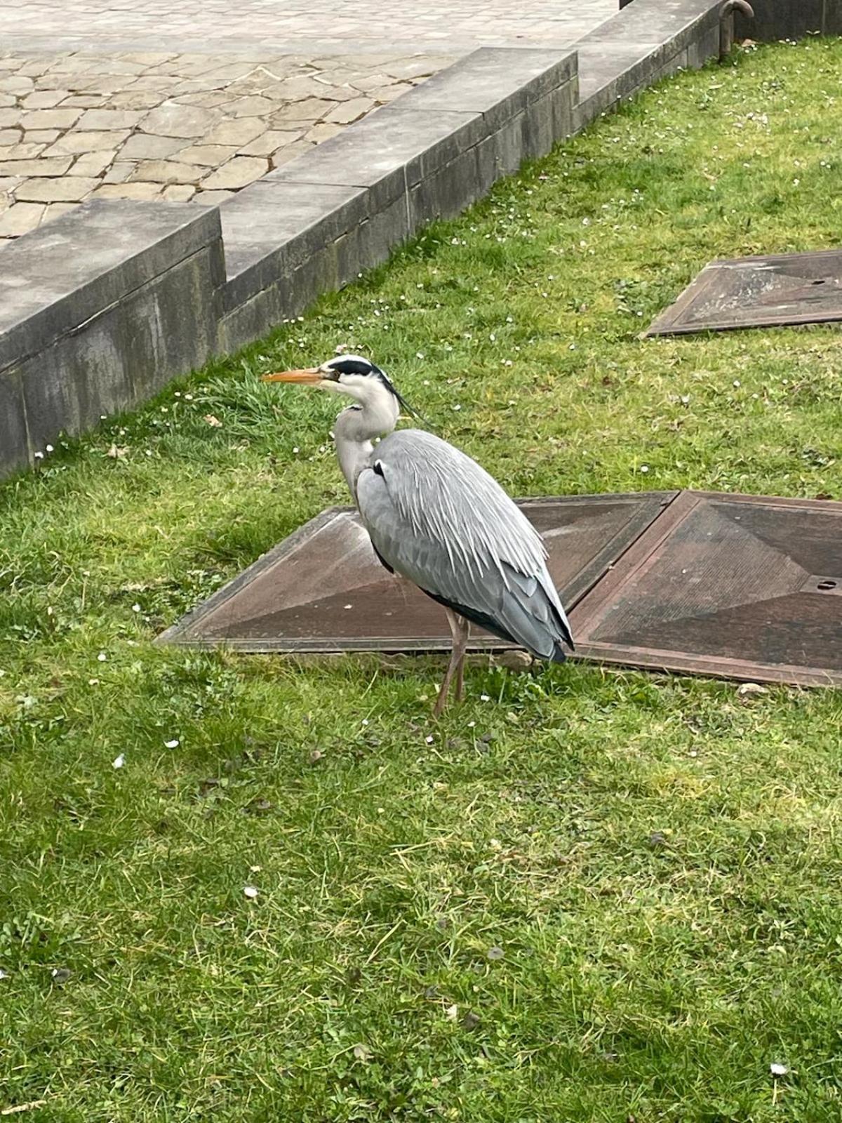Apartment Le Flagey Place