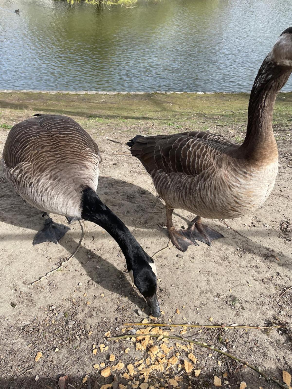 Le Flagey Place Apartment *