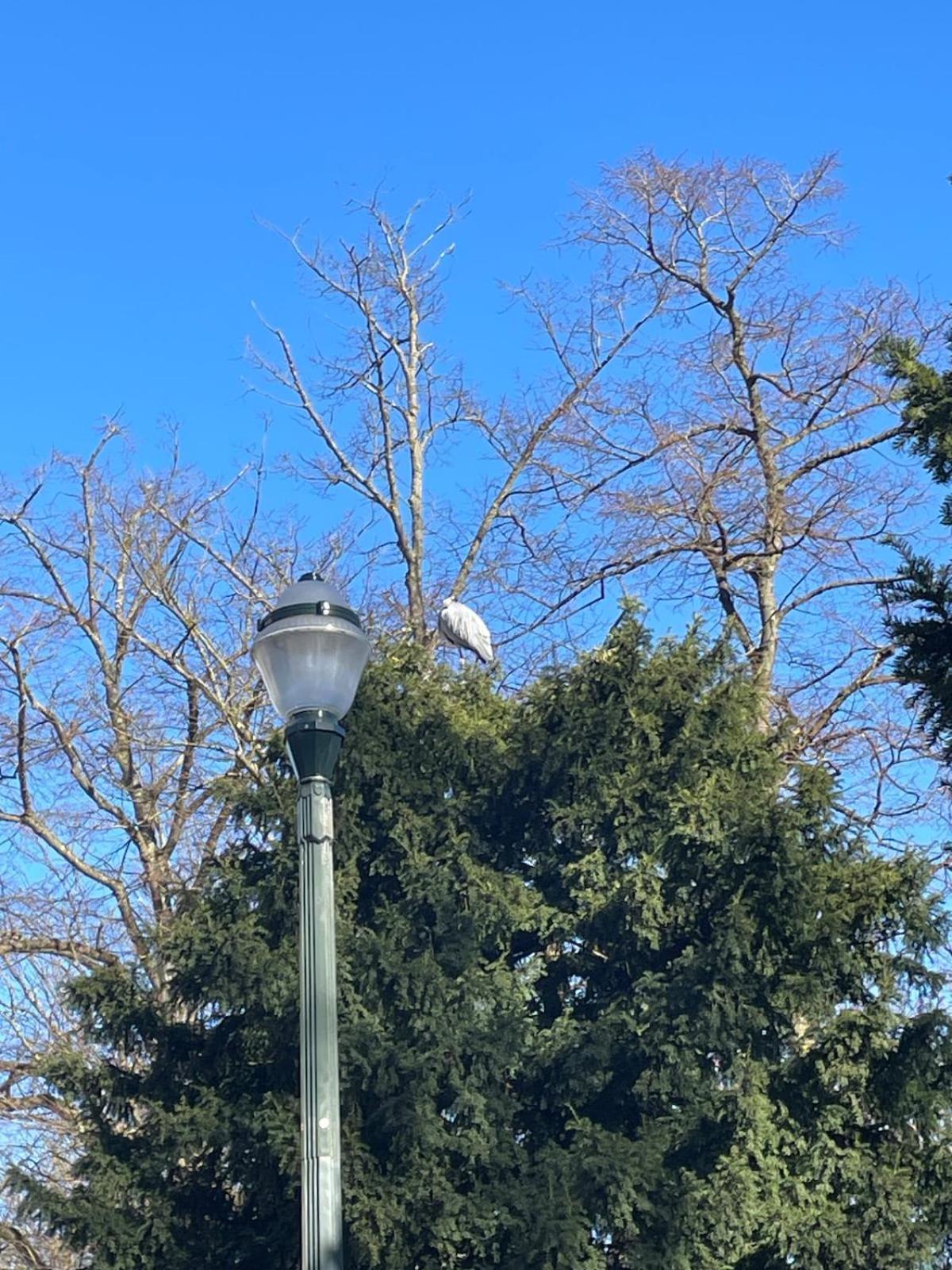 Le Flagey Place Brussels
