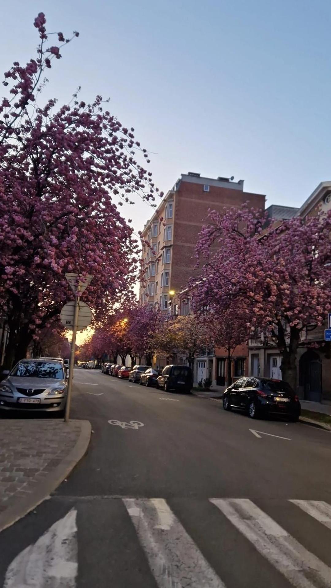 Diamant - Chic & Lumineux * Brussels