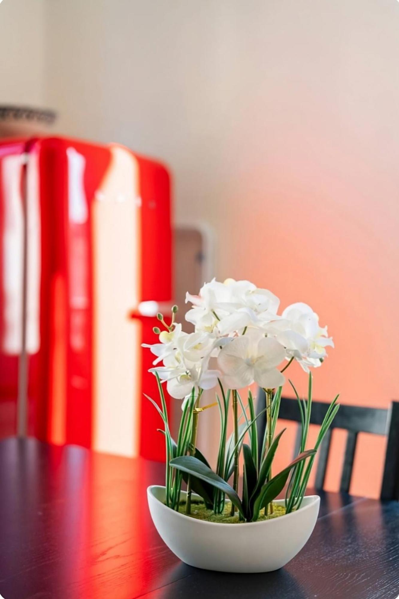 Royal - Freedom Square Brussels