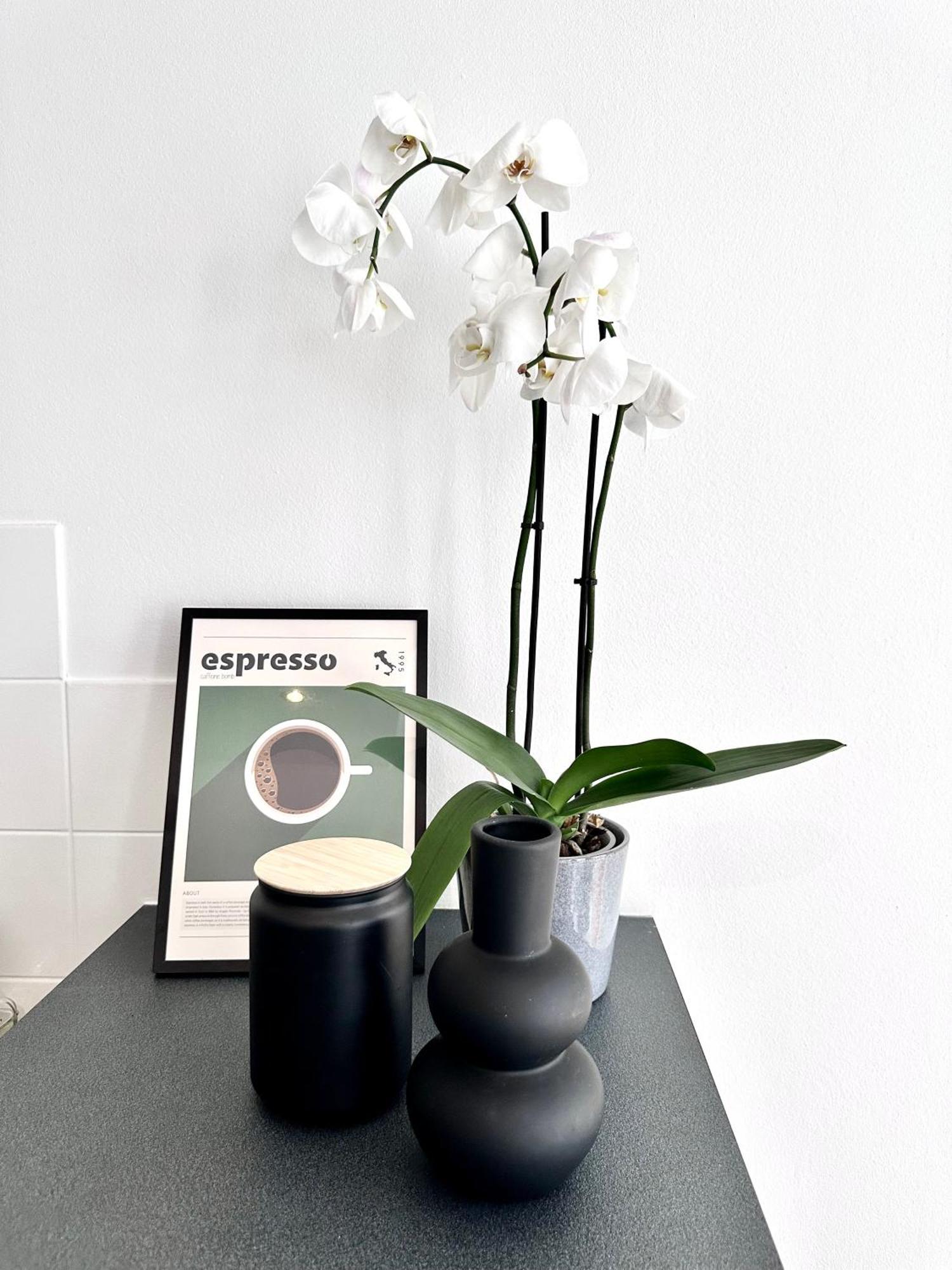 Wonderful In Sablon Brussels