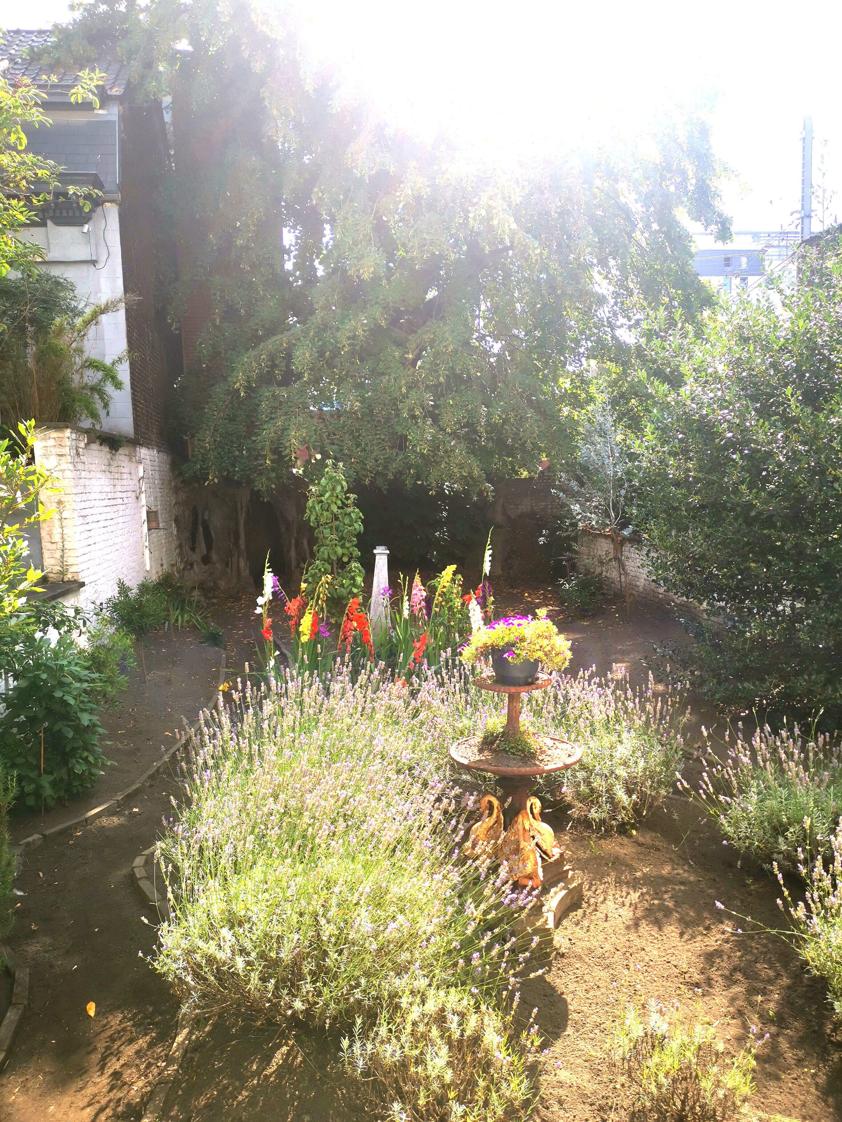 Bed & Breakfast Maison Jamaer