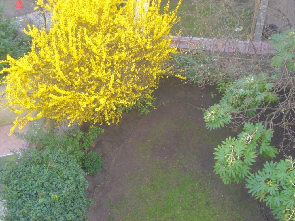 Marie Therese Apartment